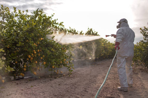 Best Residential Pest Control  in Millbrae, CA