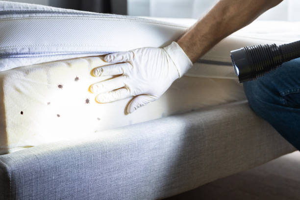 Millbrae, CA Pest Control Company