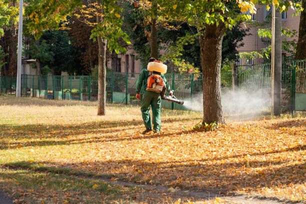 Best Wasp Removal Services  in Millbrae, CA