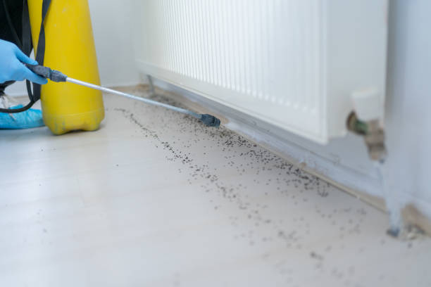 Best Exterminator Services  in Millbrae, CA