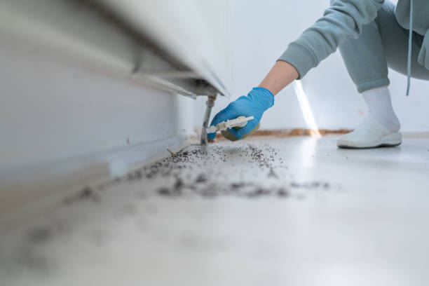 Bird Control in Millbrae, CA