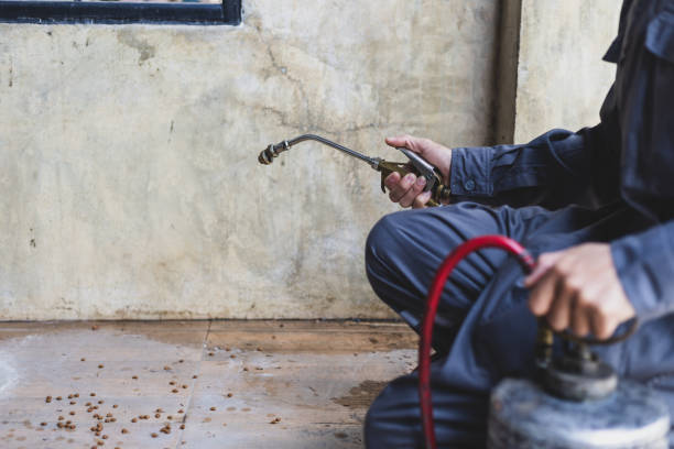 Pest Control Cost in Millbrae, CA
